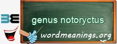 WordMeaning blackboard for genus notoryctus